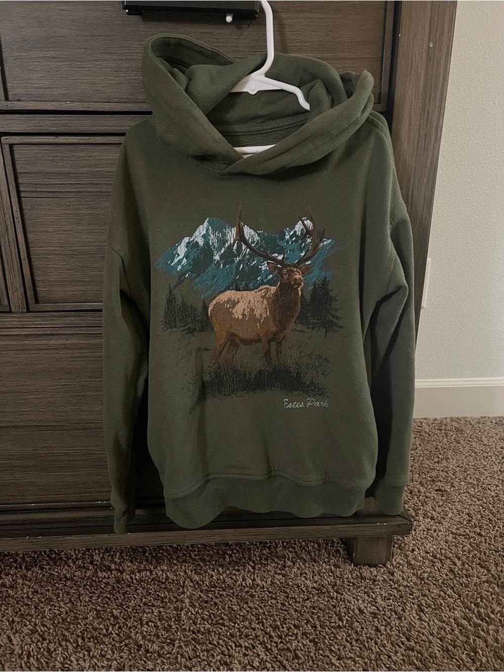 Boys Olive Green Graphic Hoodie with Elk Mountain Print